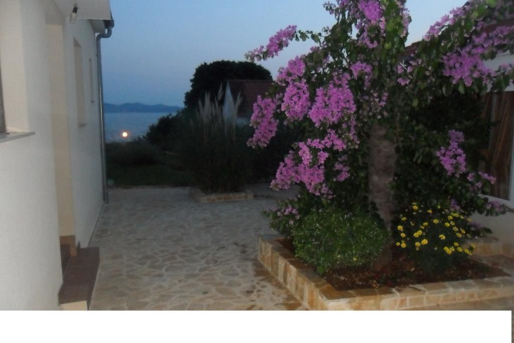 Apartments Nada Zadar Kamer foto